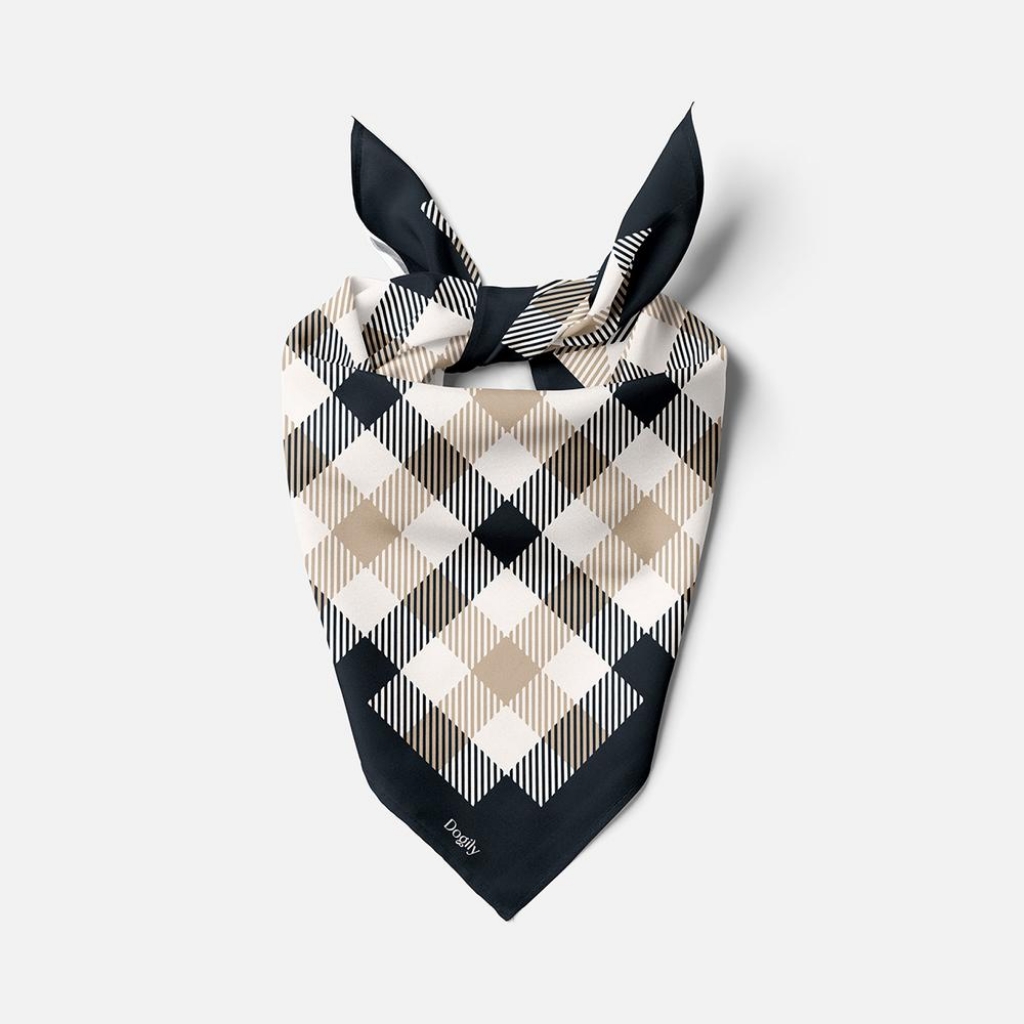 Silk Scarf